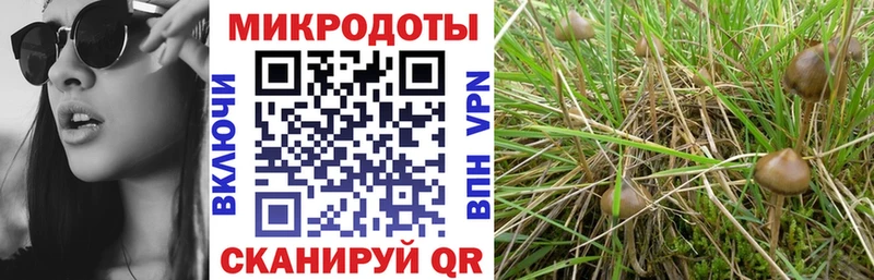 Галлюциногенные грибы мицелий  закладка  Елец 